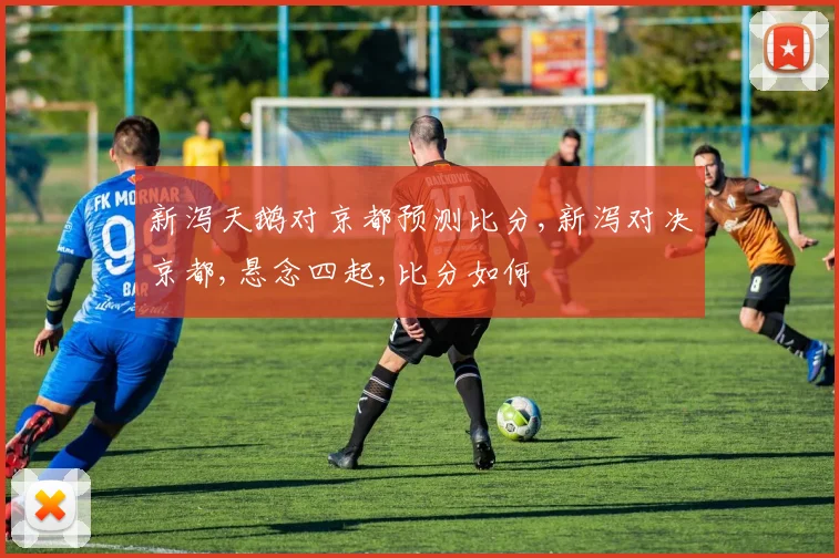 新泻天鹅对京都预测比分,新泻对决京都,悬念四起,比分如何