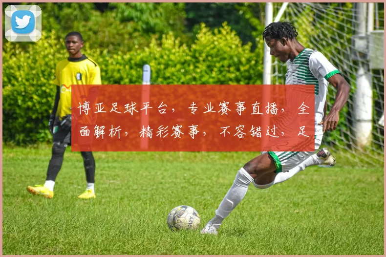 博亚足球平台，专业赛事直播，全面解析，精彩赛事，不容错过，足球迷必备