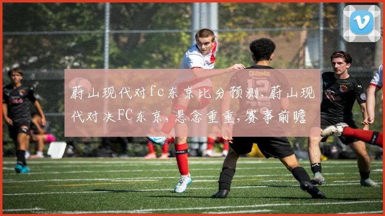 蔚山现代对fc东京比分预测,蔚山现代对决FC东京,悬念重重,赛事前瞻一触即发,敬请期待